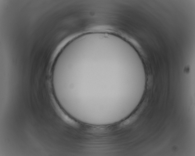 X0000093501470200710121033