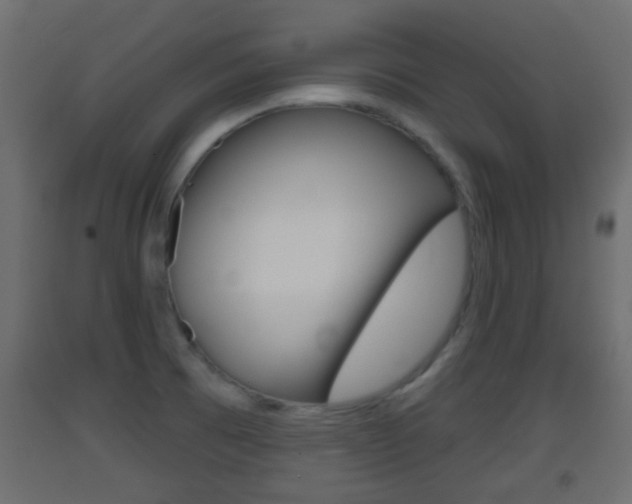 X0000093501473200710121033