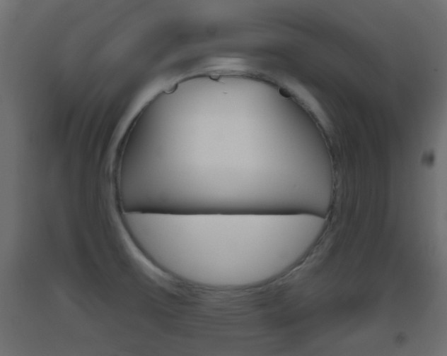 X0000093501475200710121033