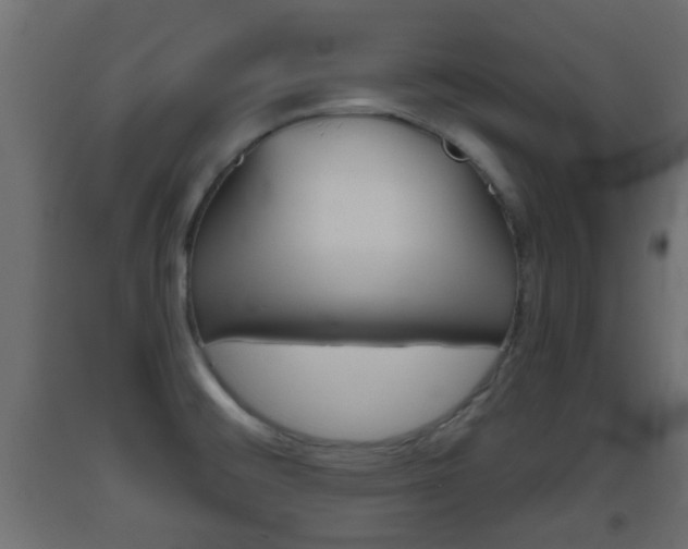 X0000093501476200710121033