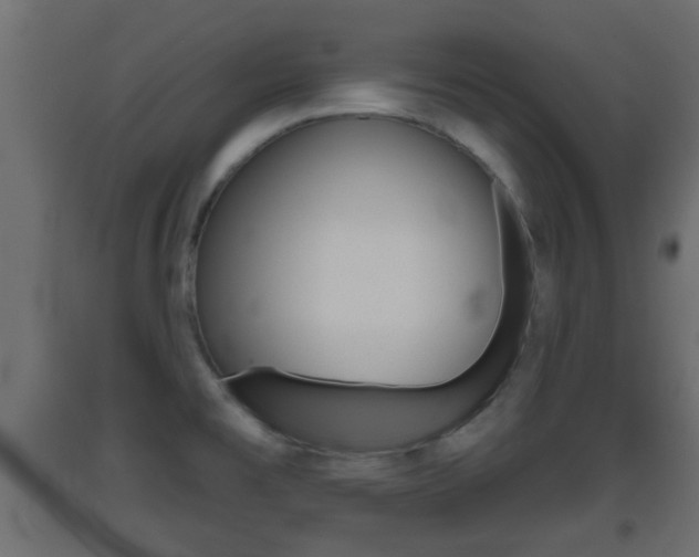 X0000093501477200710121033