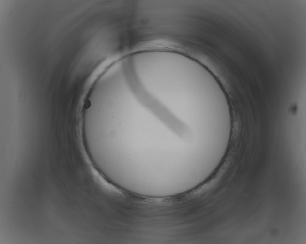 X0000093501478200710121033