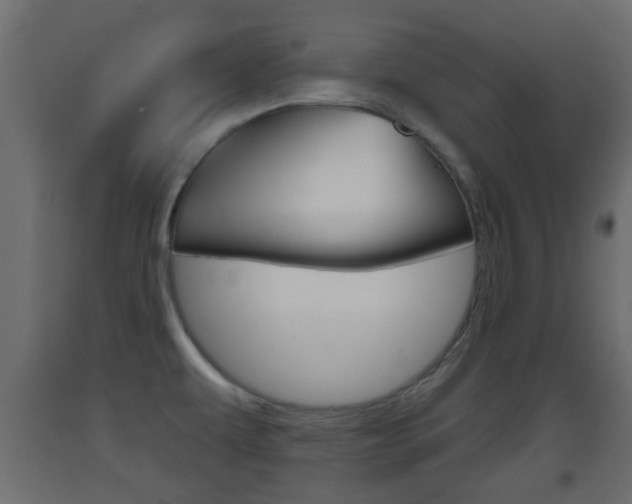 X0000093501479200710121033