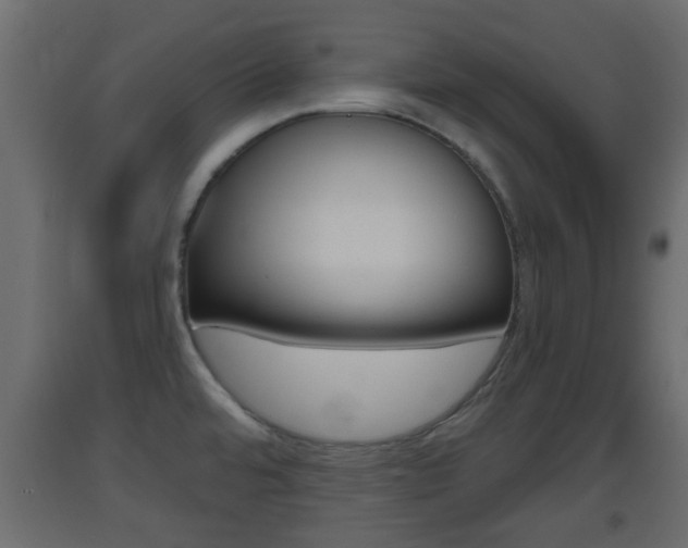 X0000093501480200710121033