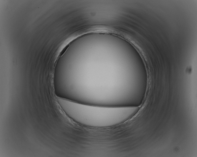 X0000093501481200710121033