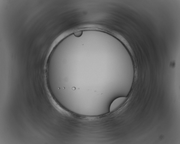 X0000093501482200710121033
