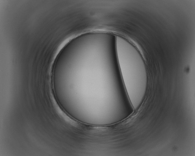 X0000093501483200710121033