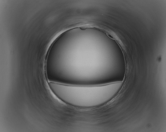 X0000093501484200710121033