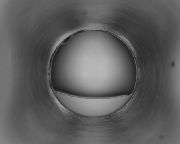 X0000093501485200710121033