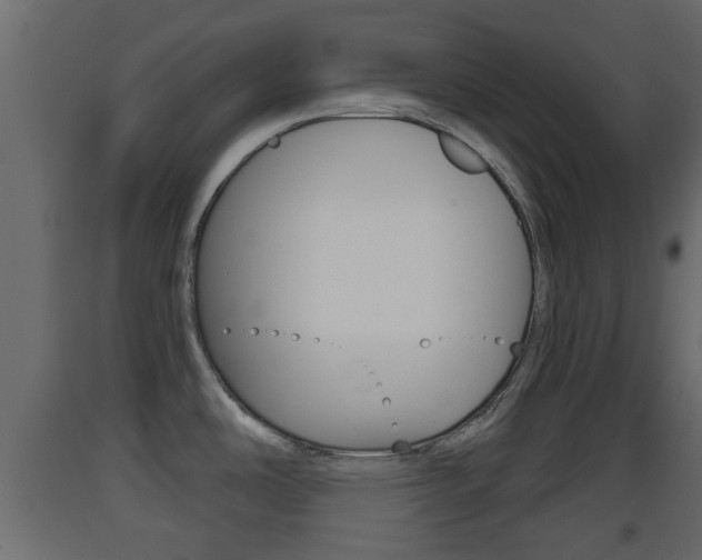 X0000093501486200710121033