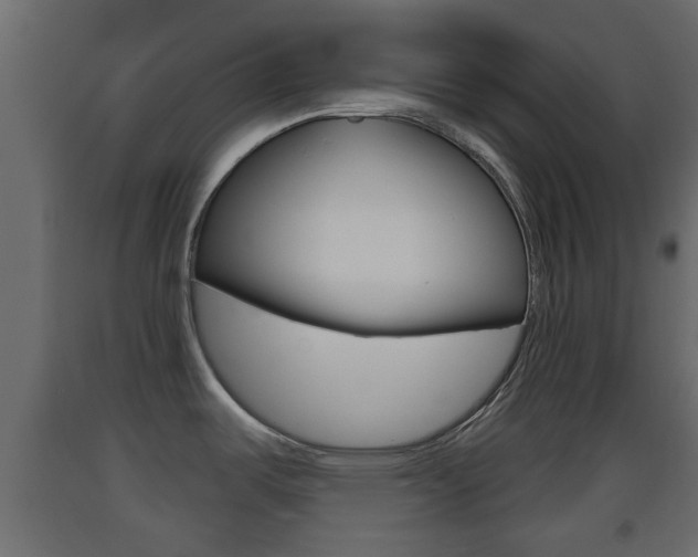 X0000093501487200710121033
