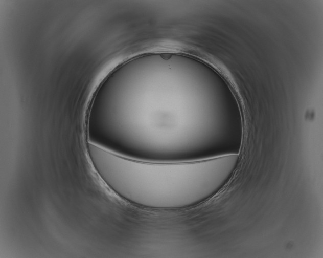 X0000093501488200710121033