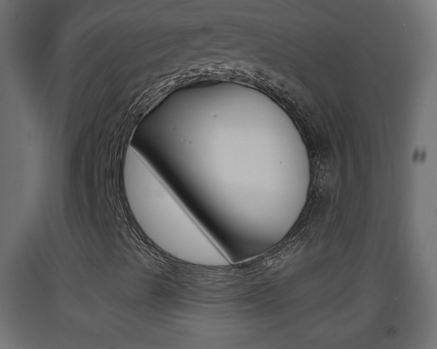 X0000093501489200710121032
