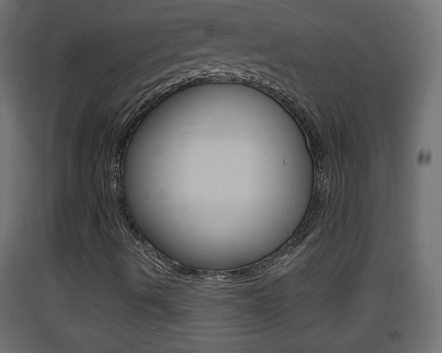 X0000093501490200710121032