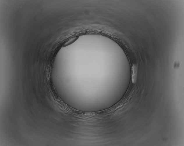 X0000093501491200710121032