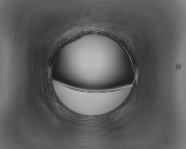 X0000093501492200710121032