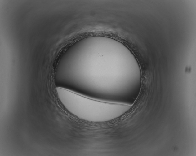 X0000093501493200710121032