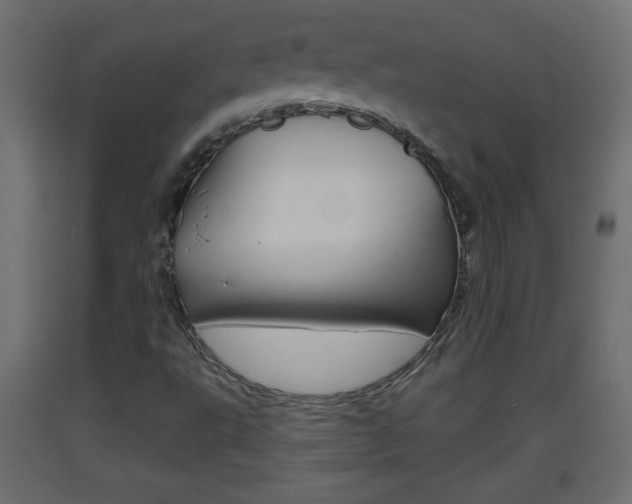 X0000093501495200710121032