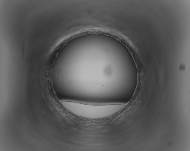 X0000093501496200710121032