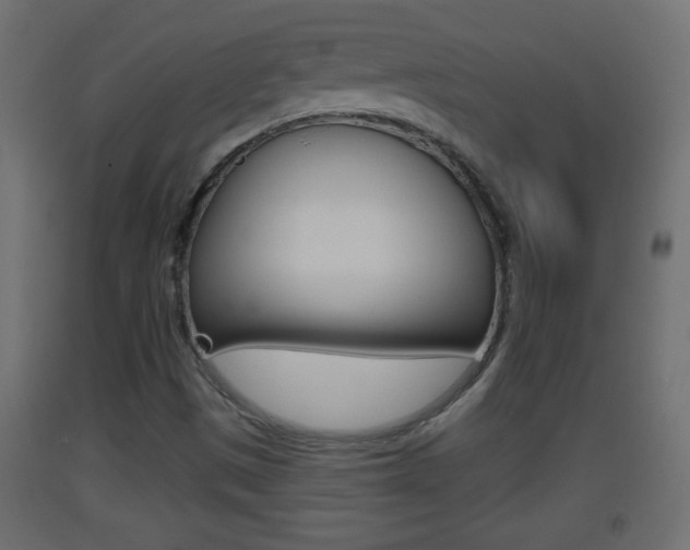 X0000093501497200710121032