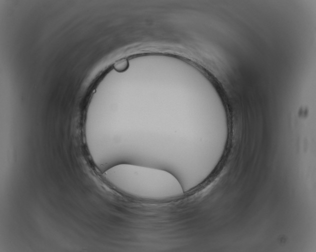 X0000093501498200710121032