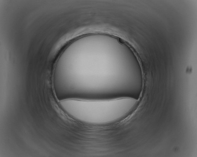 X0000093501499200710121032