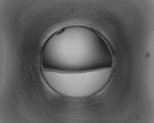 X0000093501500200710121032