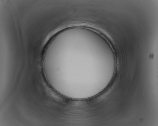 X0000093501501200710121032