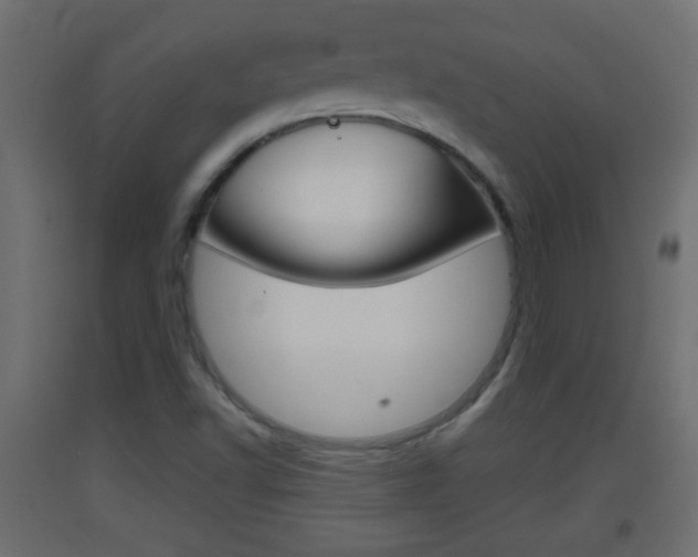 X0000093501502200710121032