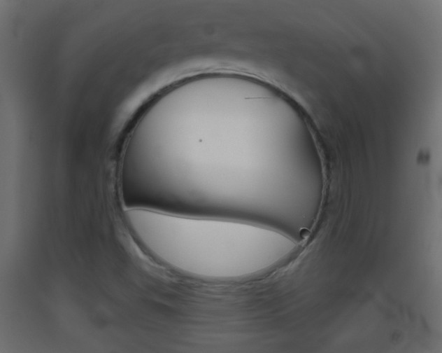 X0000093501503200710121032