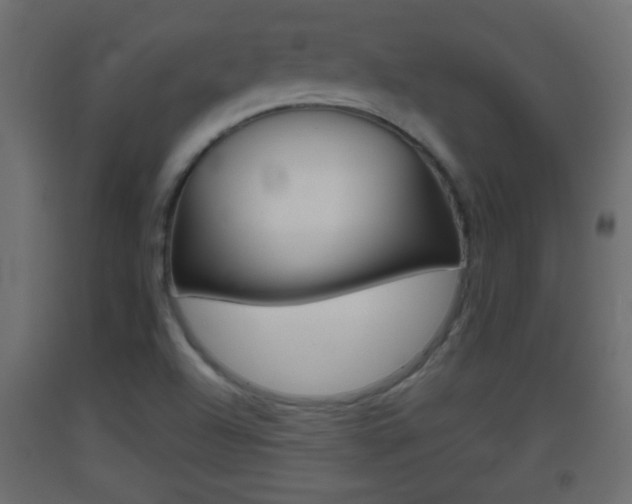 X0000093501504200710121032