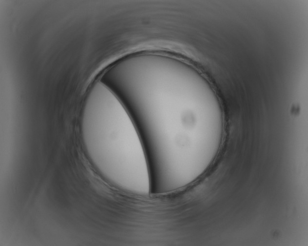 X0000093501505200710121032