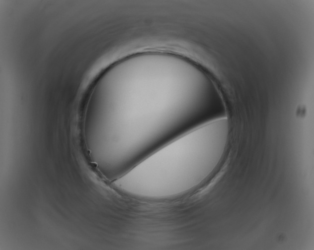 X0000093501506200710121032