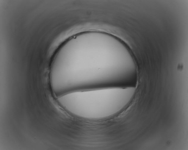 X0000093501507200710121032