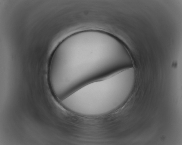 X0000093501508200710121032