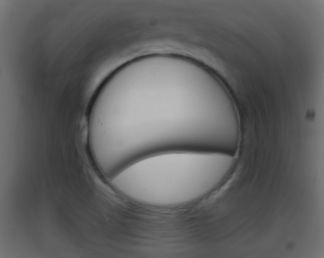X0000093501509200710121032