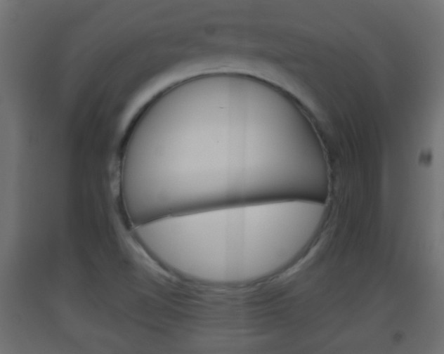X0000093501510200710121032
