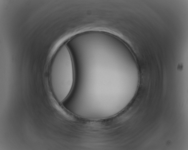 X0000093501511200710121032