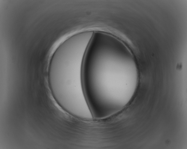X0000093501512200710121032