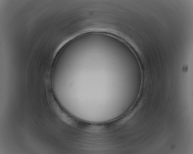 X0000093501513200710121032
