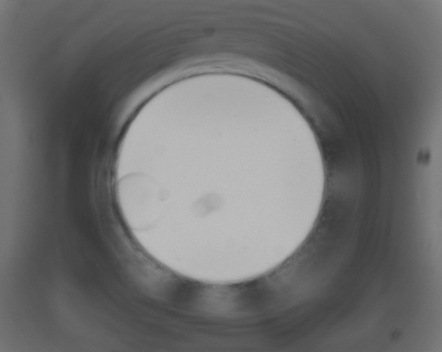 X0000093501514200710121032