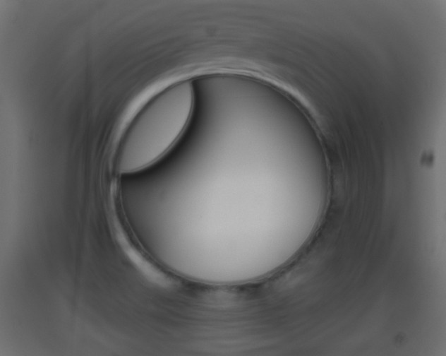 X0000093501515200710121032