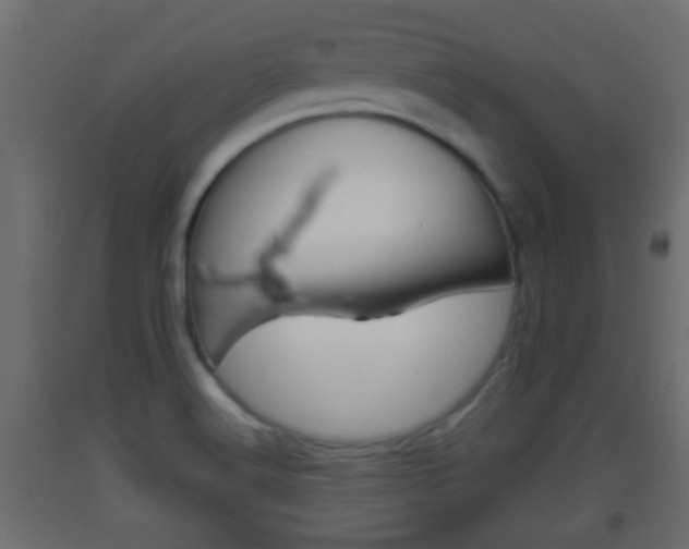 X0000093501516200710121032