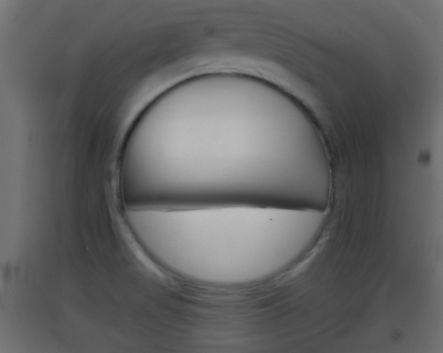 X0000093501517200710121032