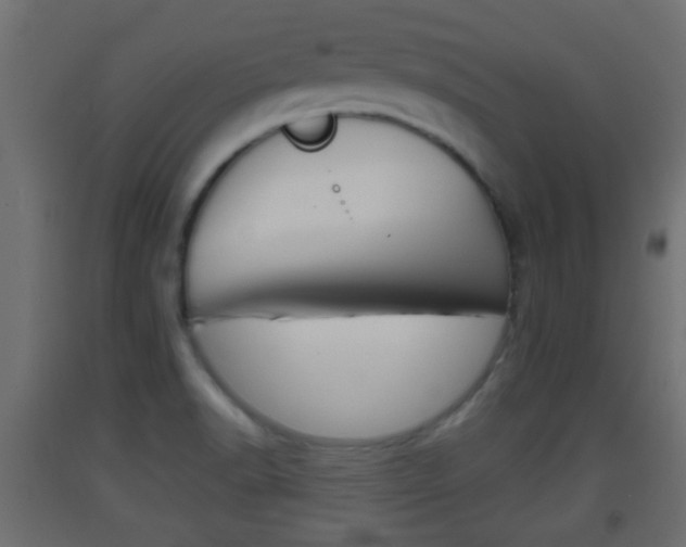 X0000093501518200710121032