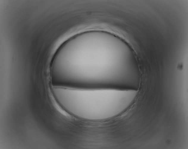 X0000093501519200710121032