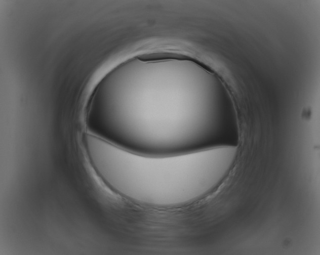X0000093501520200710121032