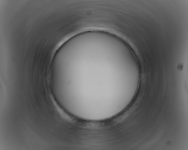 X0000093501521200710121032