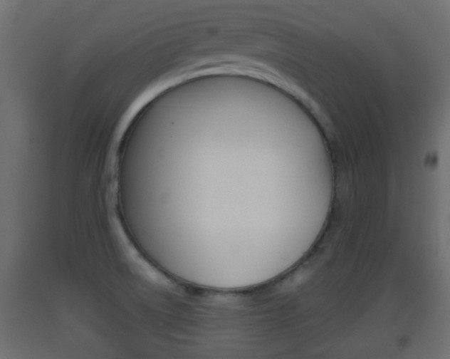 X0000093501522200710121032