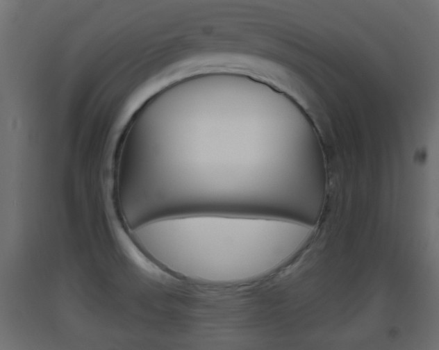 X0000093501523200710121032